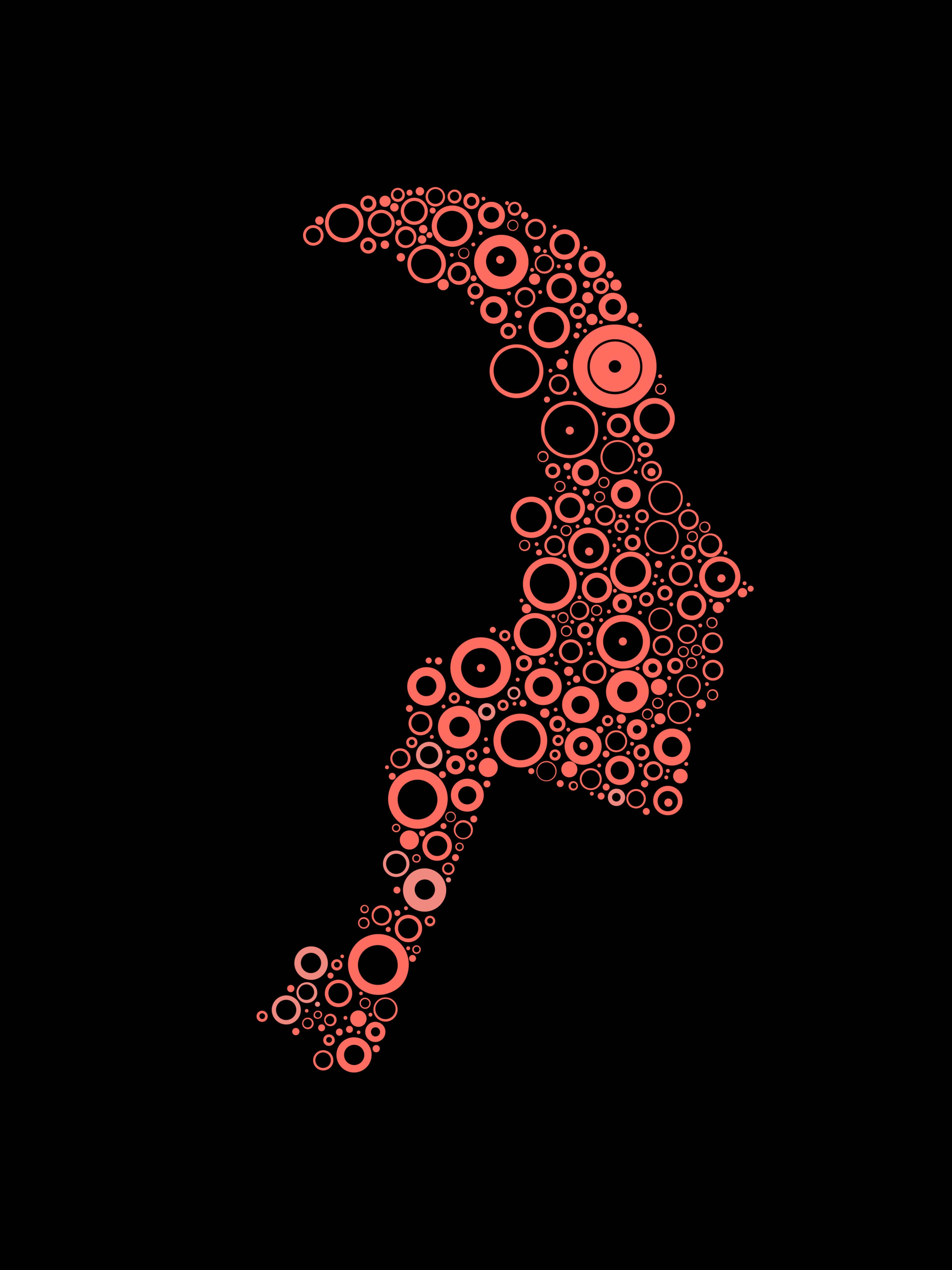 Hoodie Heavyweight Bulles